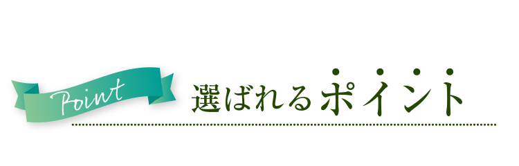 選ばれるポイント